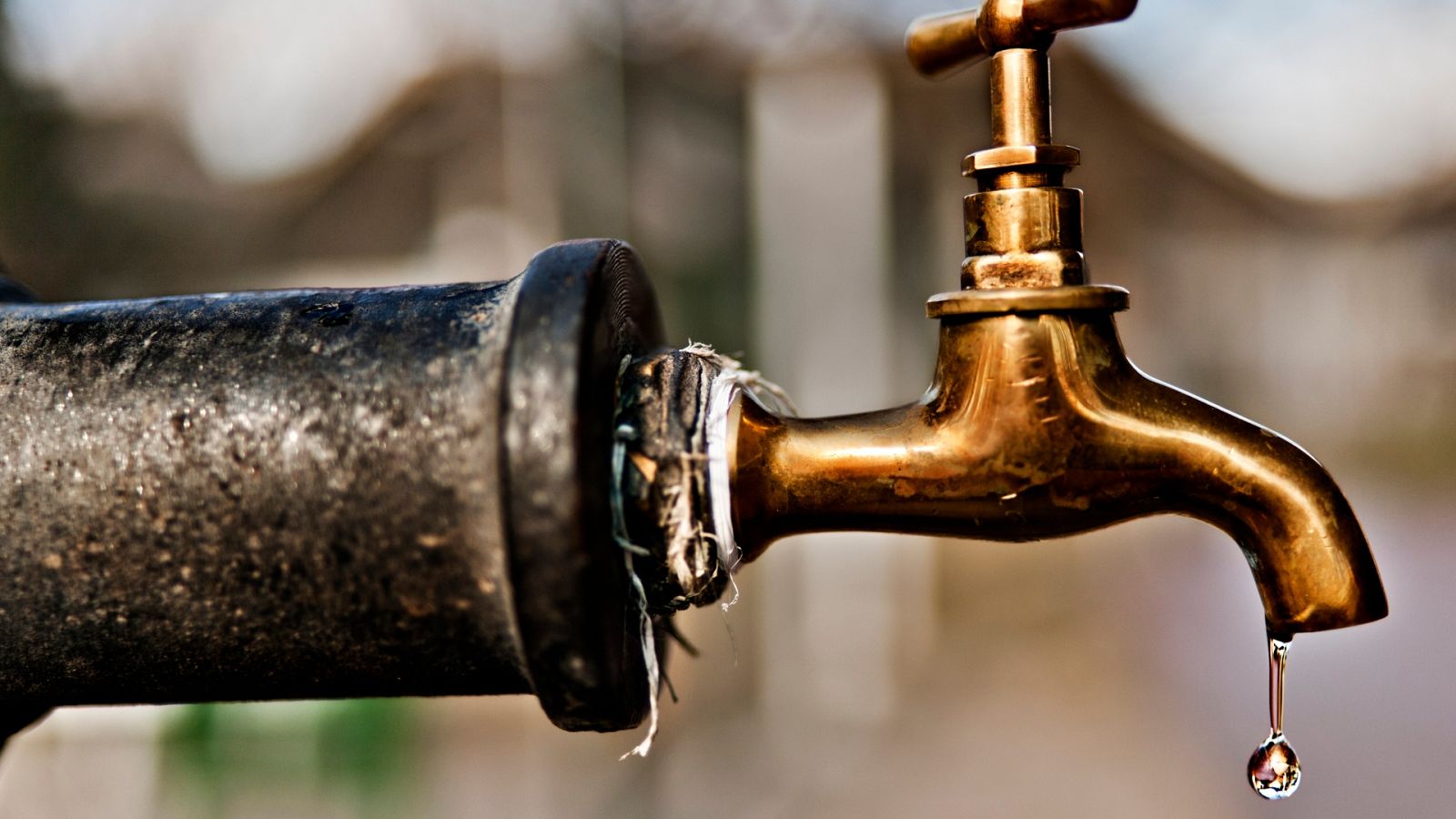 Día Mundial del Agua