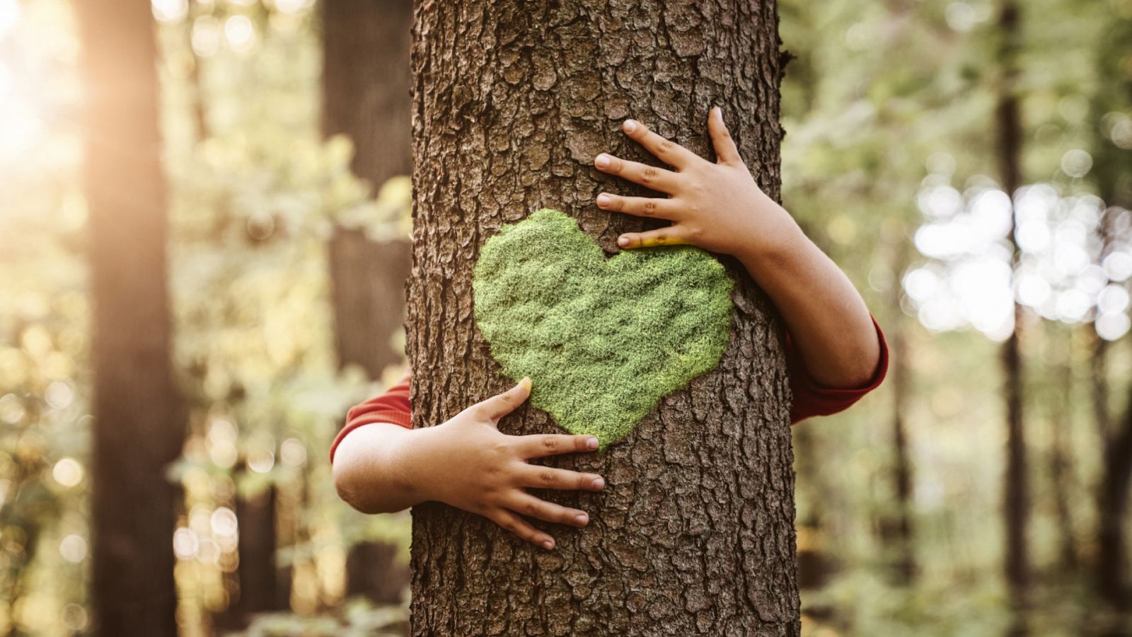 RTVE Play celebra 'La Hora del Planeta' con sus mejores películas, series y programas ambientales