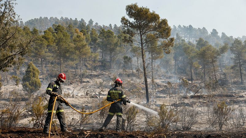 La meteorolog�a da una tregua al incendio de Castell�n para frenar un fuego que ha calcinado 4.600 hect�reas