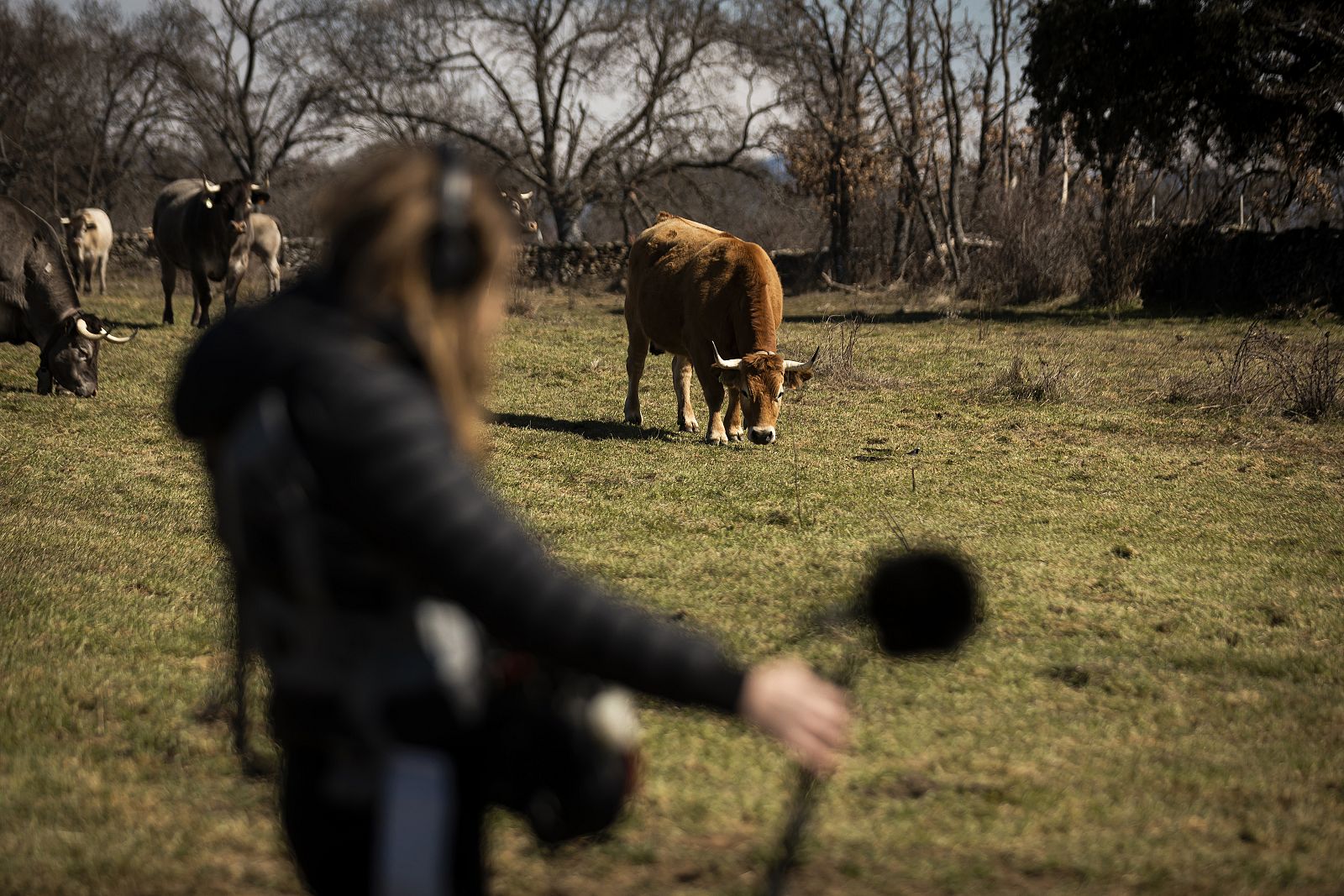 Vuelve Ruralitas a La 2 de RTVE