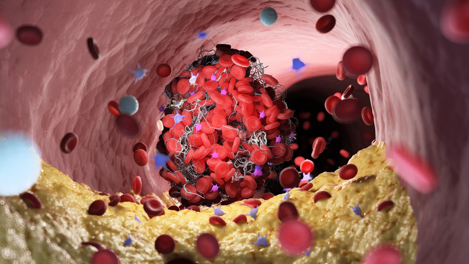 Colesterol bueno y malo: diferencias y cómo controlarlo