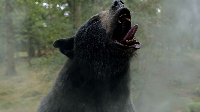 'Oso vicioso': cocaína, gore, salvajismo y comedia familiar ochentera         