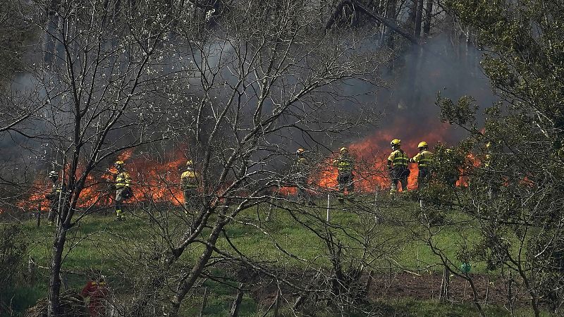 Más de un centenar de incendios calcinan Asturias y las llamas llegan a Oviedo