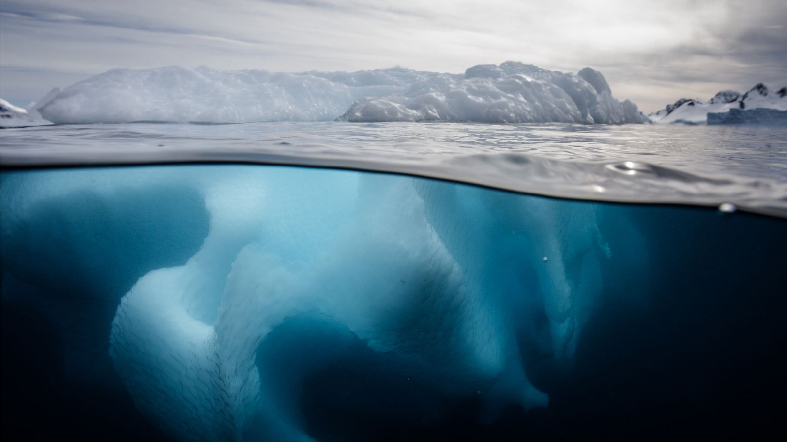 El hielo marino de la Antártida está actualmente un 28% por debajo de la media.