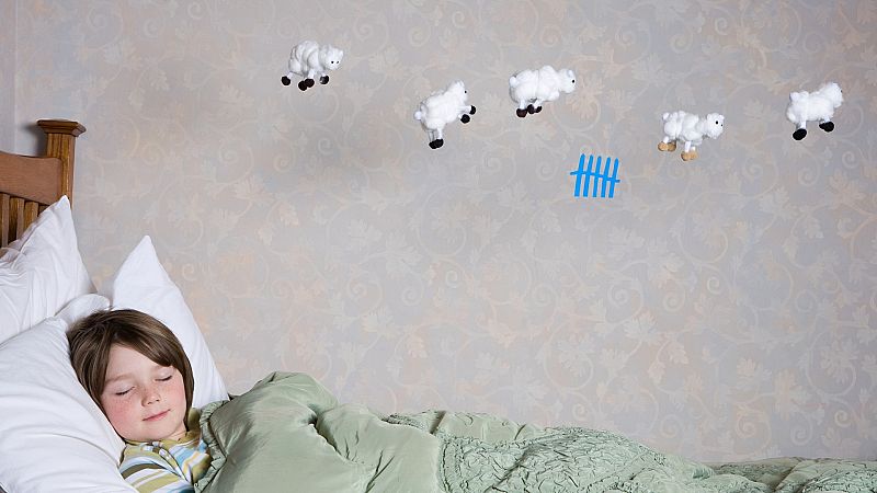 Por qu contamos ovejas para dormir? Descubre estas curiosidades del animal ms famoso del refranero espaol