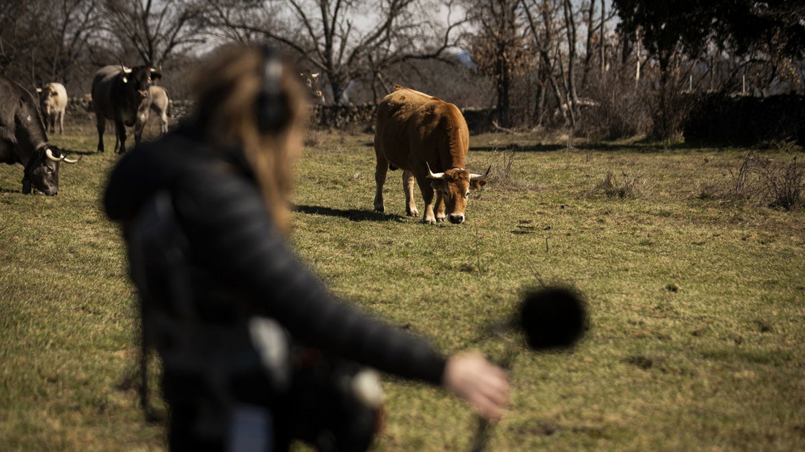 Imagen de la nueva temporada de 'Ruralitas'