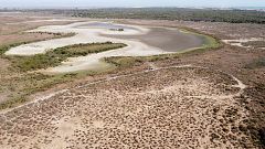 El Gobierno recurrirá al Constitucional la ley de regadío andaluza si se aprueba y avisa: "Doñana no se toca"