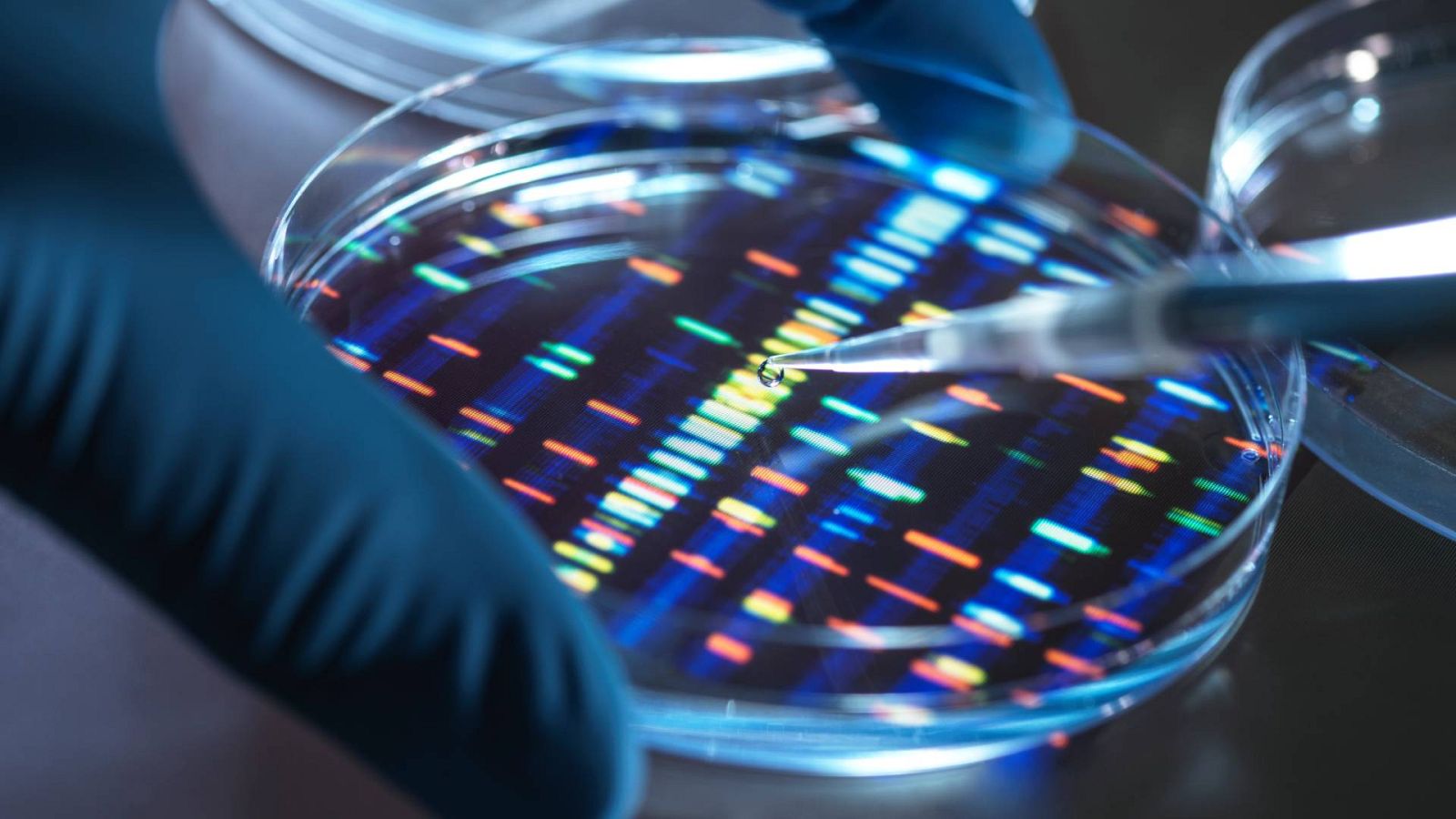 A este tipo de vacunas se les conoce como "terapéuticas", ya que no se emplean de manera preventiva.