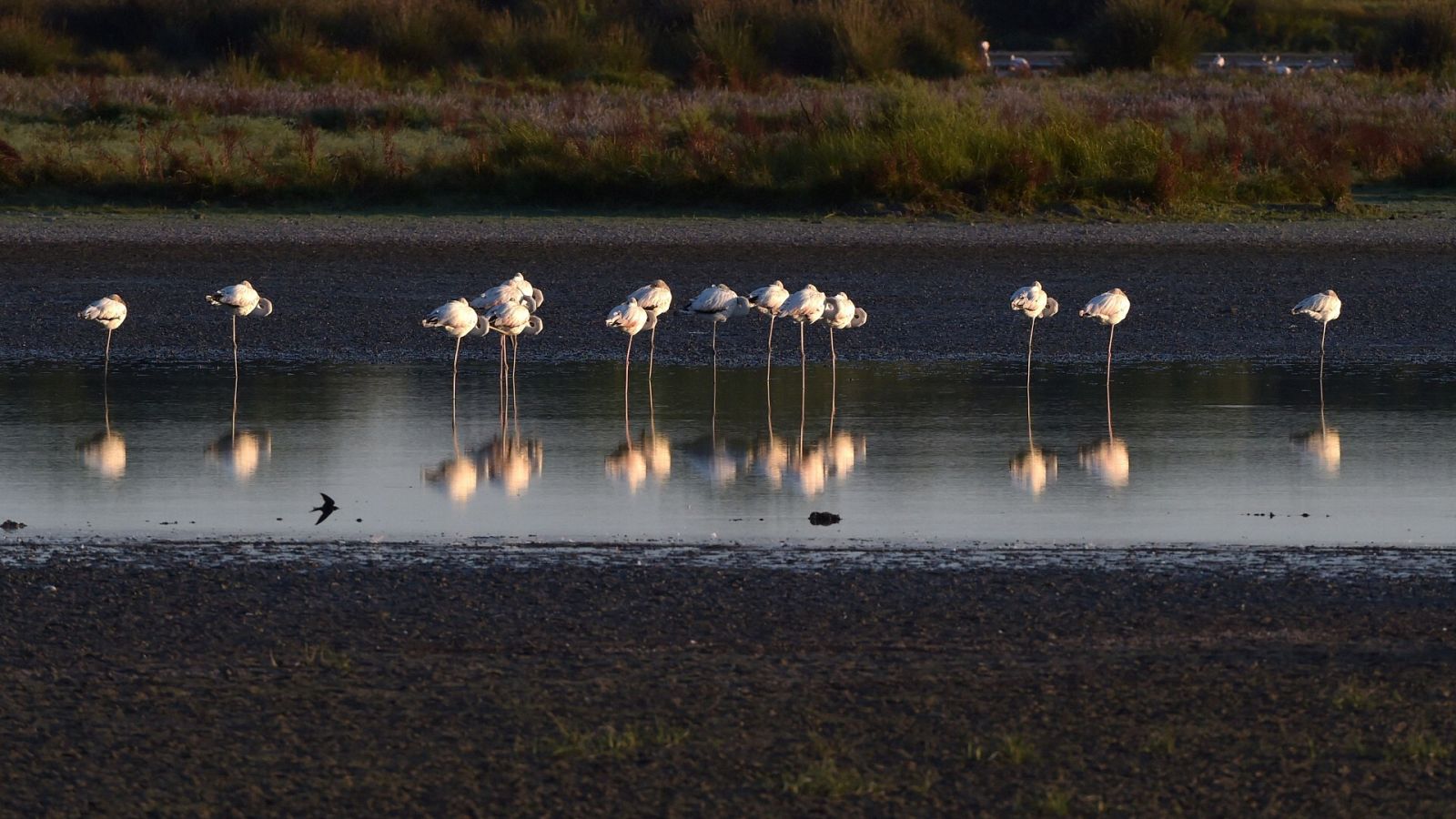 Imagen de archivo del Parque Nacional de Doñana