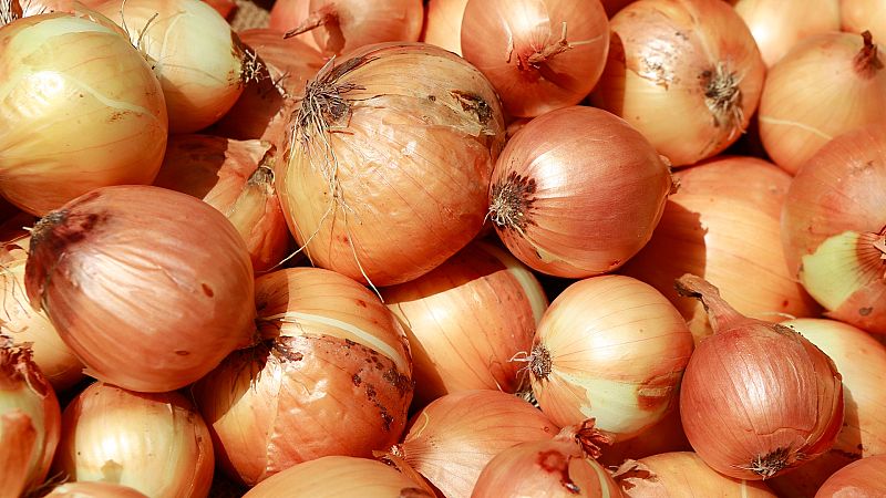 �Por qu� nos lloran los ojos al cortar cebolla y c�mo remediarlo?