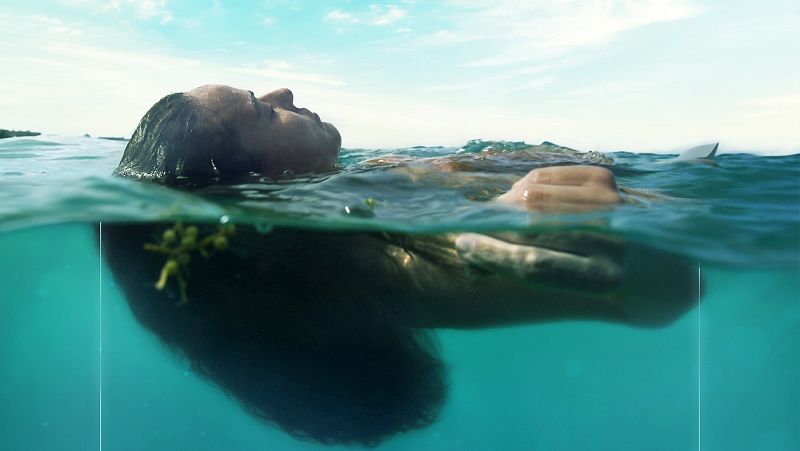 RTVE.es estrena el tr�iler de 'La pecera': empoderamiento femenino, ecolog�a y colonialismo