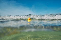 ¡Paradojas, fractales, ecuaciones y patitos de goma a la deriva! Matemáticas en mares revueltos, por Clara Grima