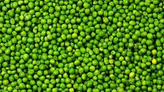 5 cosas que nos sabías de los guisantes: ¿verdura o legumbre?