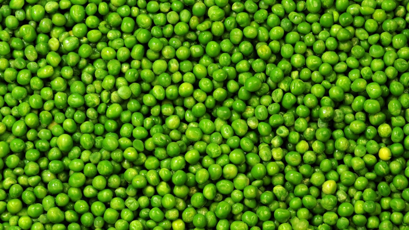Lo que no sabías de los guisantes