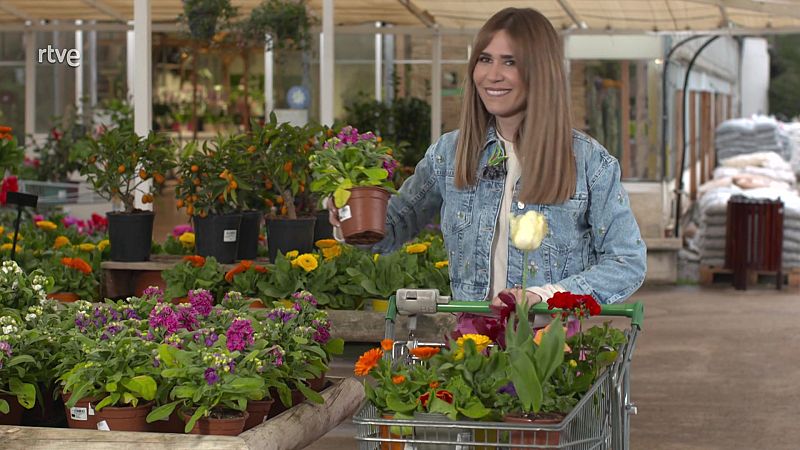 L'espanyol que va reproduir un nen�far gegant �nic a Europa
