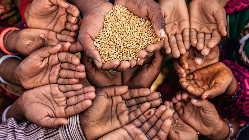 Aumenta la inseguridad alimentaria en todo el mundo: ms de 250 millones de personas la sufrieron en 2022
