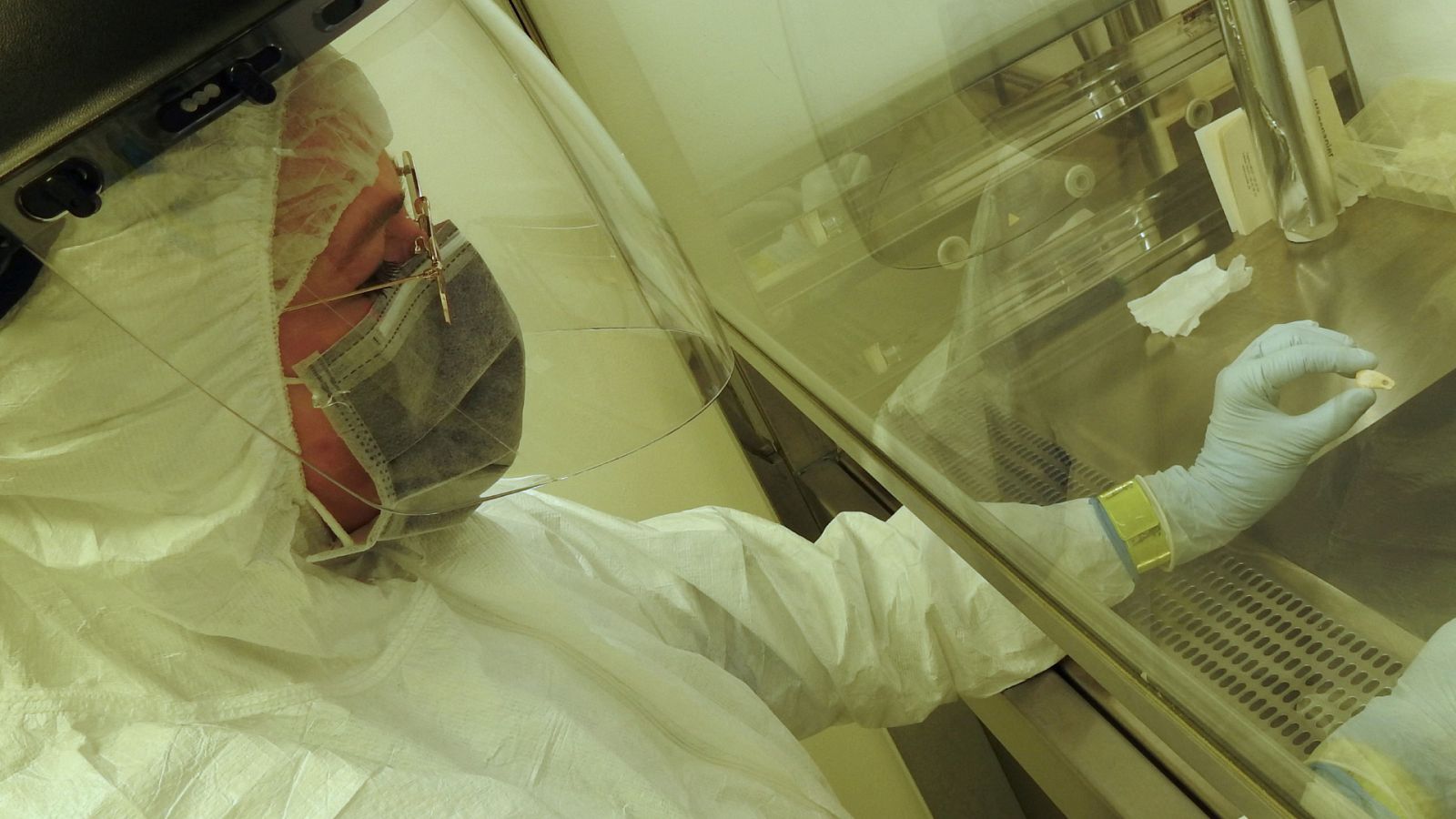 Elena Essel, autora principal del estudio. trabaja en su laboratorio de Leipzig.