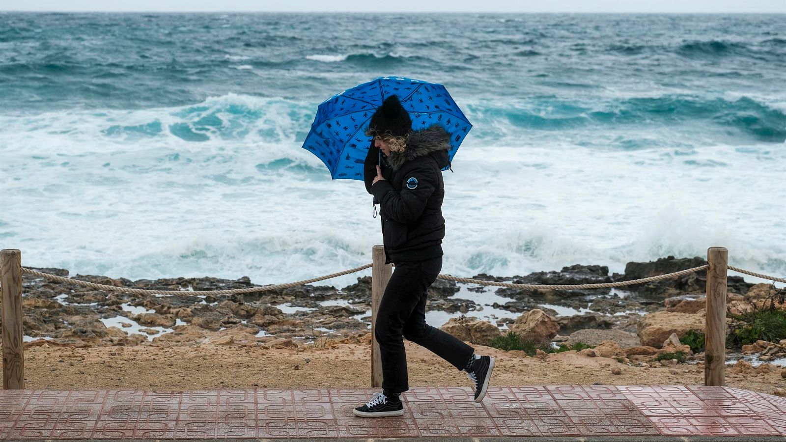 Una persona camina con un paraguas cerca de la costa.