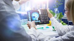 Los países con mayor desigualdad de género estarían asociados a diferencias en el grosor del cerebro