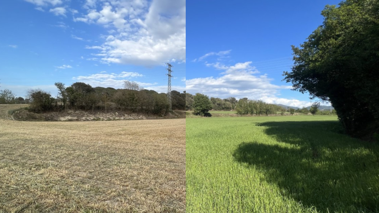 Comparativa entre el 21 d'abril i el 14 de maig a Seva (Osona) | @Anskari76