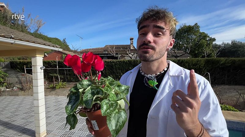 La m�sica afavoreix el creixement de les plantes?