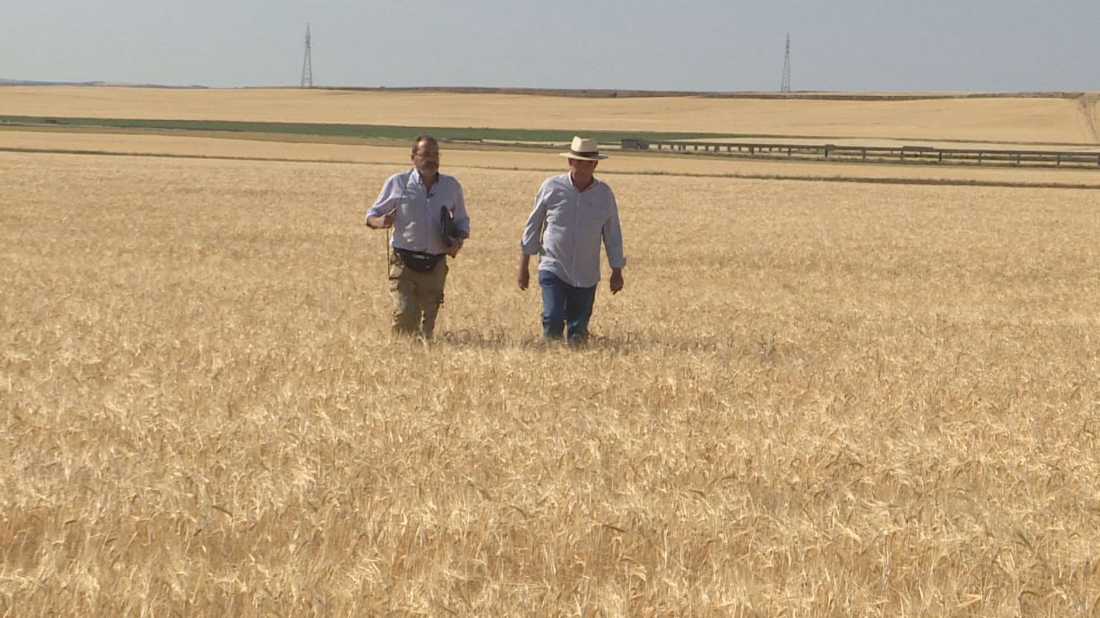 ctv-zzk-herbceos-clm