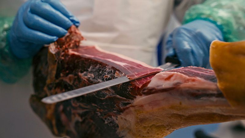Ciencia y jam�n: Una relaci�n de sabor y conocimiento que transforma la industria porcina