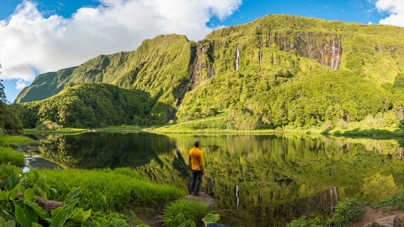 Día Internacional de la Biodiversidad: ¿por qué es tan importante?