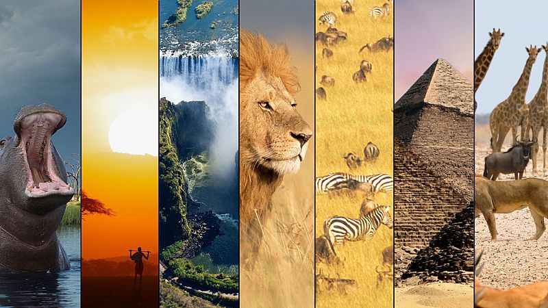 Da de frica: 8 curiosidades que quiz no sabas del continente 
