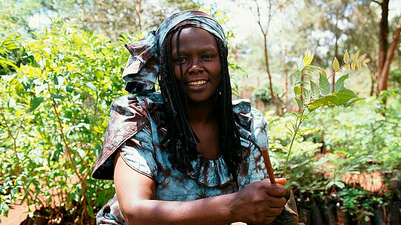 Wangari Maathai, primera mujer africana en recibir el Premio Nobel de la Paz