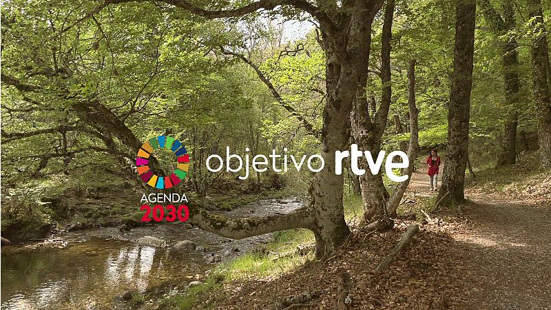RTVE celebra el D�a Mundial del Medioambiente y de los Oc�anos