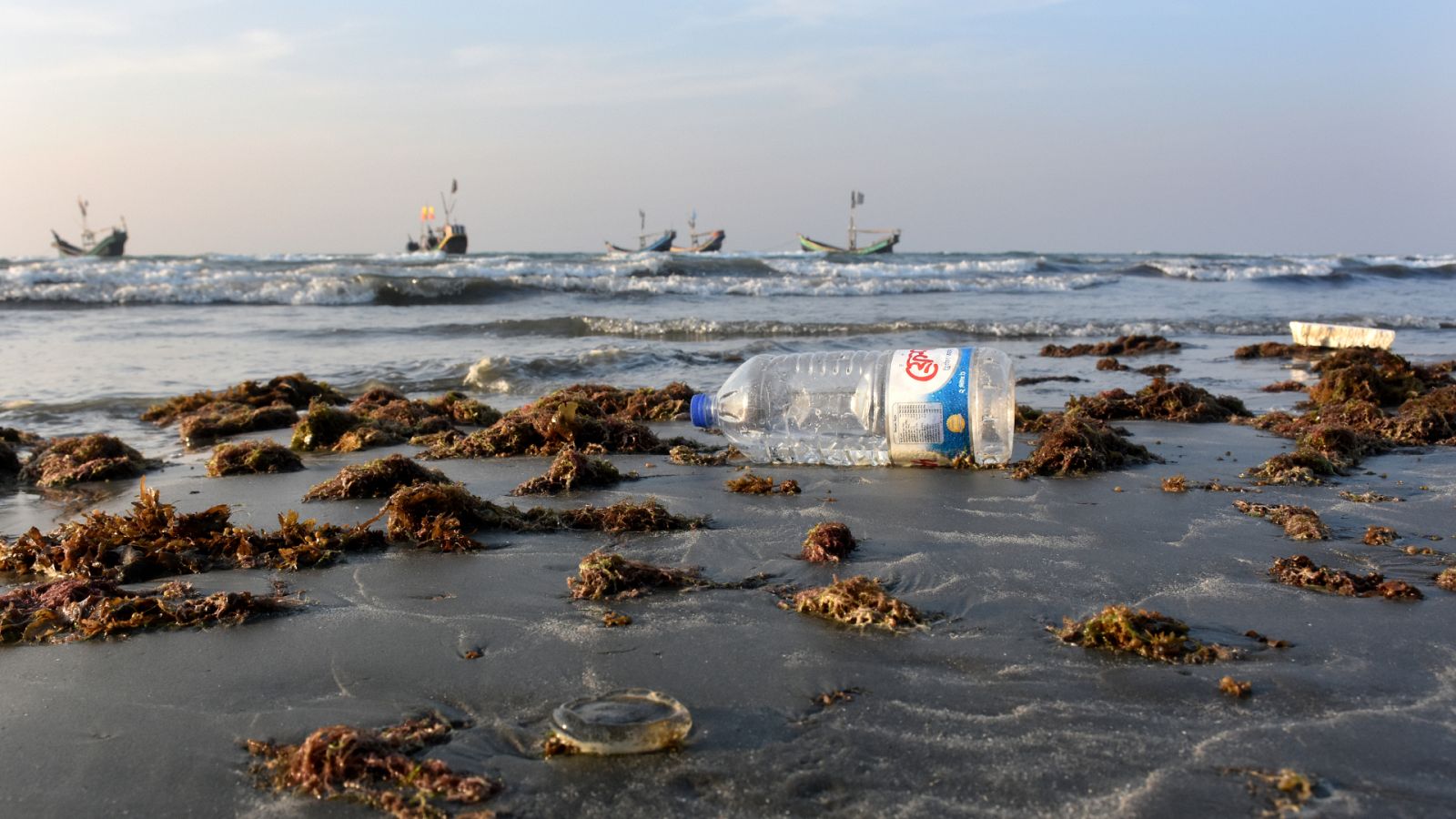 Muchos de los plásticos terminan en los océanos, afectando a la vida marina y alterando sus ecosistemas.