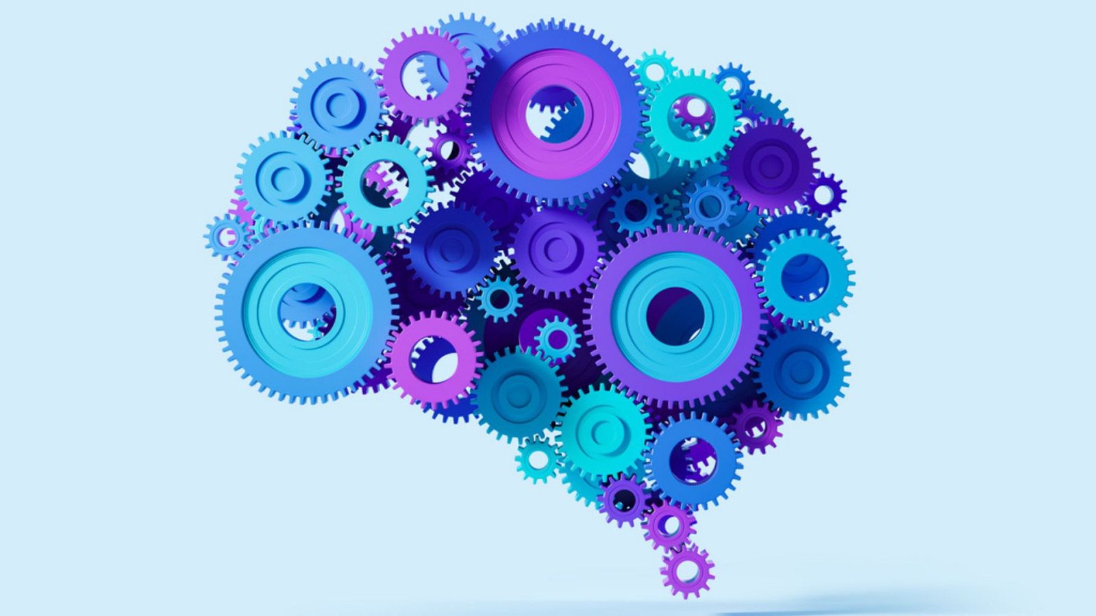 El libro que pretende dar las claves para comprender mejor cómo funciona este órgano