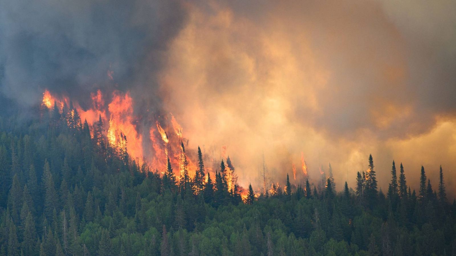 Las llamas se extienden hacia arriba a lo largo de un incendio forestal cerca de Mistissini, Quebec, Canadá.