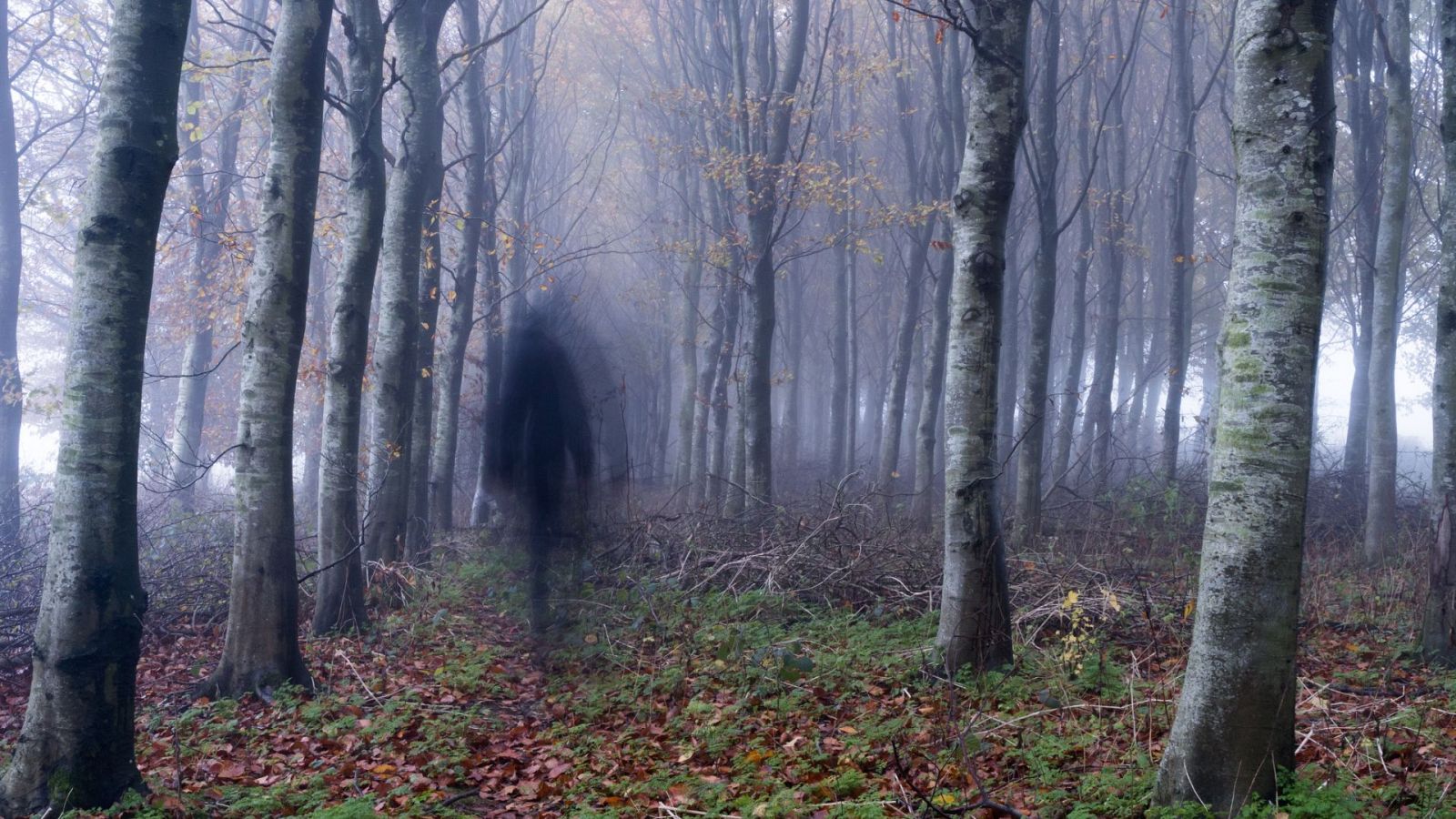 Desde niño Aldo Linares ha tenido capacidades extrasensoriales para percibir presencias y espíritus