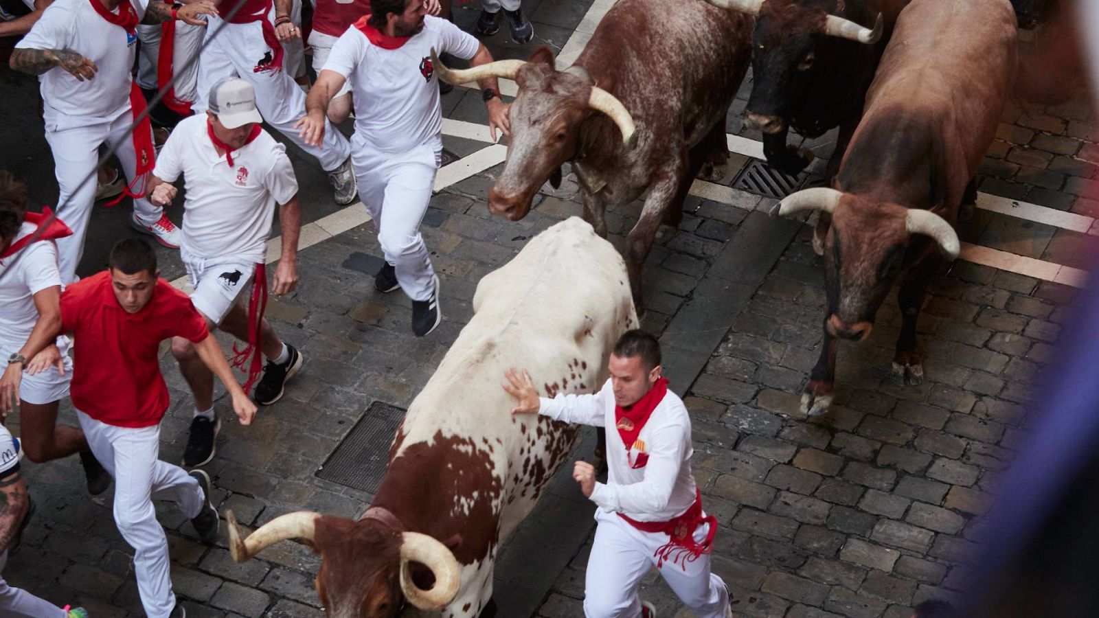 El último encierro de San Fermín 2022 tuvo toros de la conocida ganadería Miura