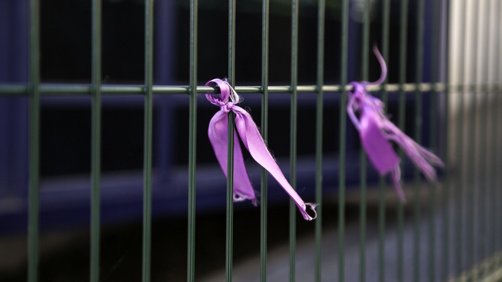 Lazos morados como símbolo contra la violencia machista