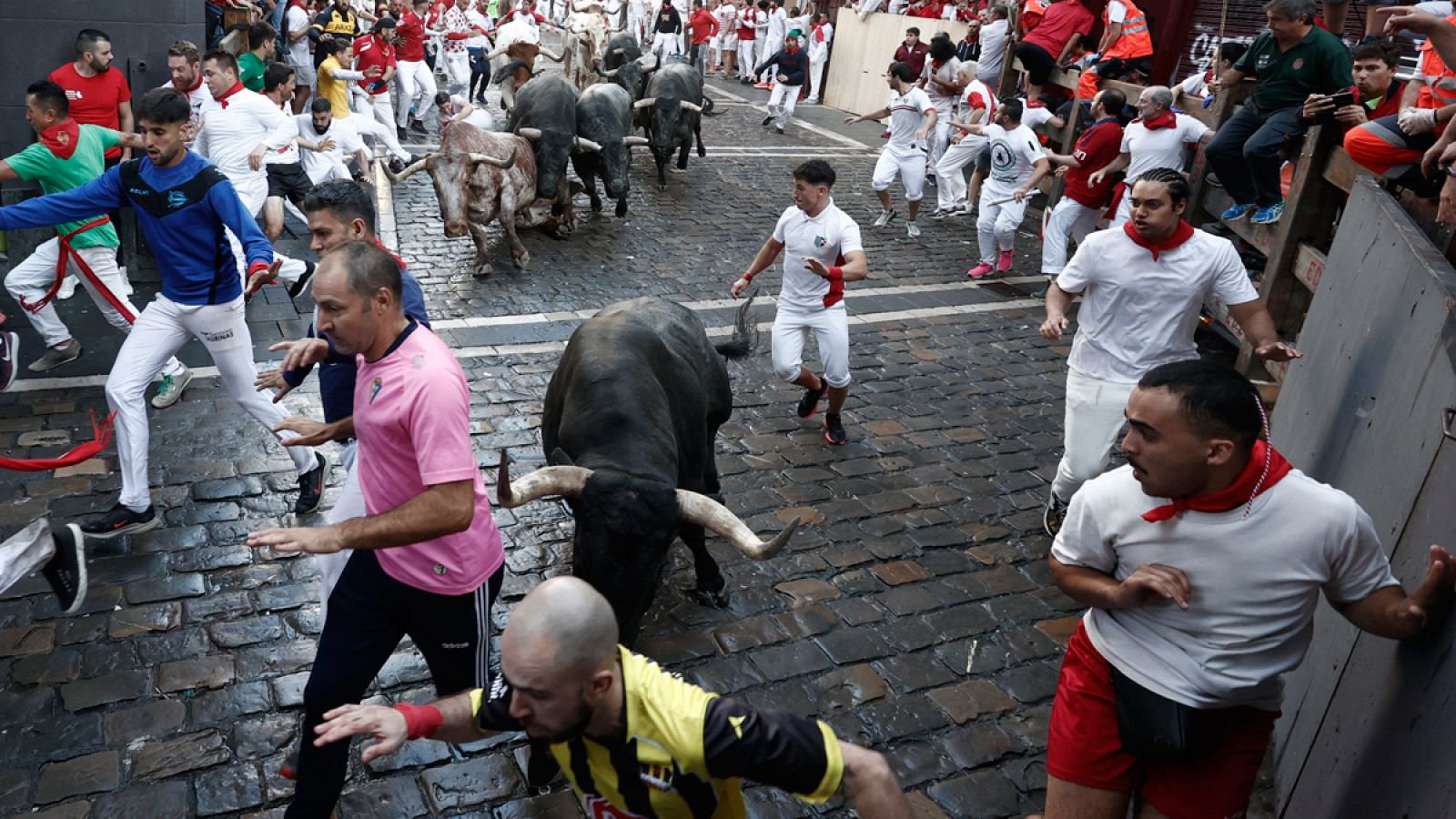 Los toros de la ganadería de José Escolar llegan a la curva de Mercaderes en el segundo encierro de los sanfermines 2023