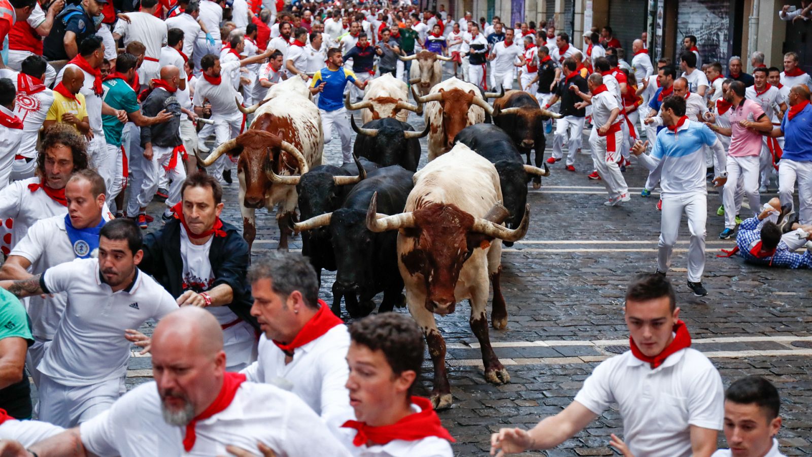 Encierros de San Fermín 2023: hora, dónde ver y ganadería
