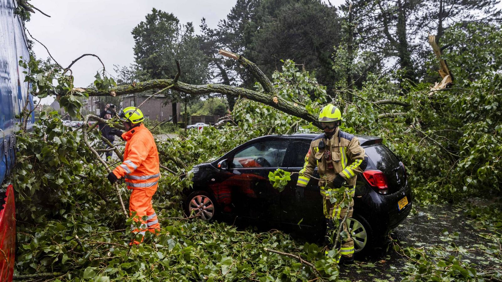 Los bomberos retiran un árbol caído tras la tormenta, en Haarlem