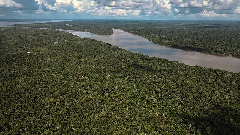 El cambio climático y la deforestación, las mayores amenazas de la selva amazónica