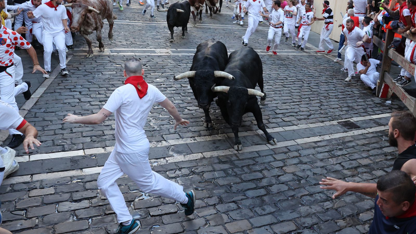 Imagen del séptimo encierro de los sanfermines con toros de la ganadería de Victoriano del Río