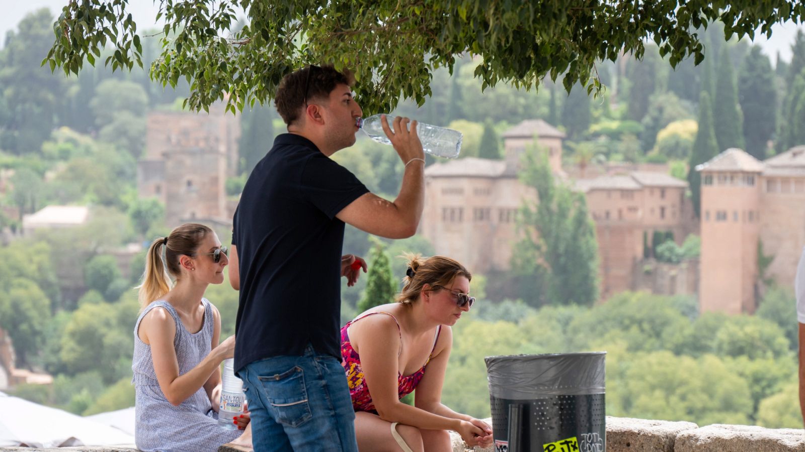 Unos turistas descansan a la sombra de un árbol y beben agua en Granada.