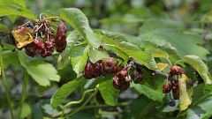 Las indemnizaciones por siniestros en el campo alcanzan 772 millones en el primer semestre, más que el total de 2022