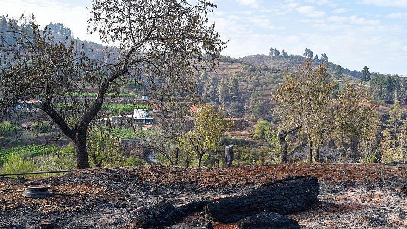 Controlado el incendio de La Palma una semana despu�s tras afectar a unas 2.900 hect�reas