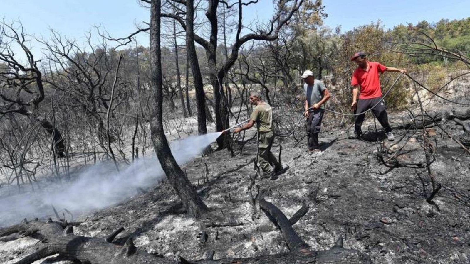 Tres hombres rocían de agua los árboles quemados