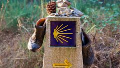 Camino de Santiago: lo que deberías saber antes de hacerlo