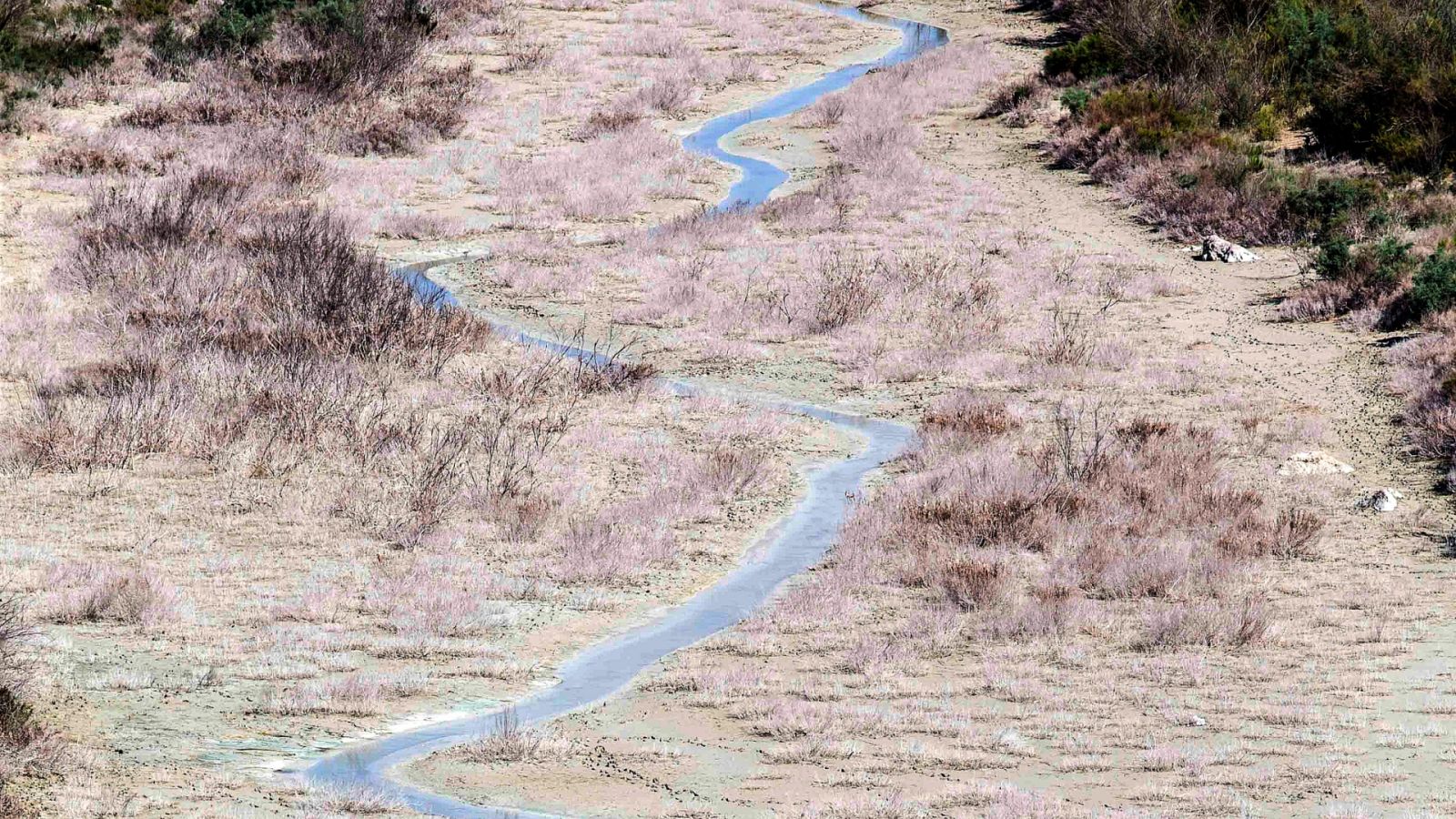 Aquellas zonas donde los ríos y embalses se encuentran secos, se está abusando del uso de aguas subterráneas