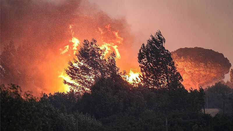 Las altas temperaturas y el viento siguen complicando la extinción de incendios en Grecia, Argelia e Italia 