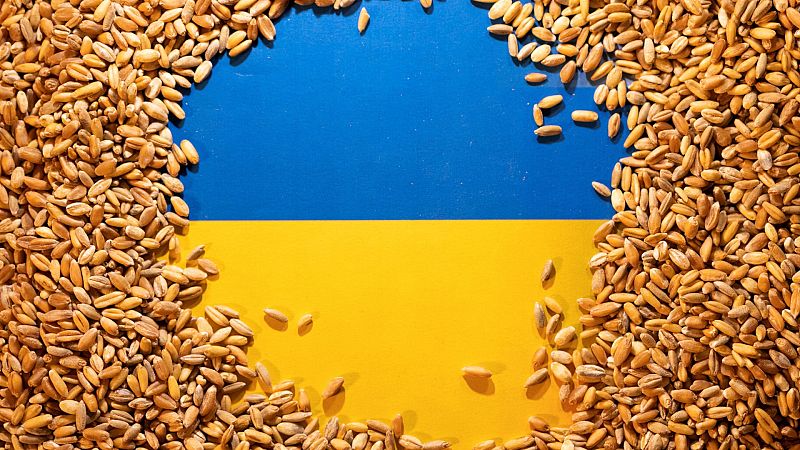 Los ataques contra la exportación de cereal ucraniano, un intento de Rusia de "tomar la iniciativa" en la guerra